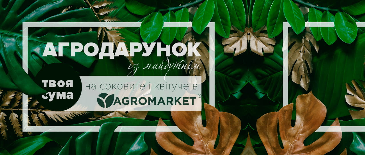 Агродарунок із майбутнім - на соковите і квітуче в Agromarket