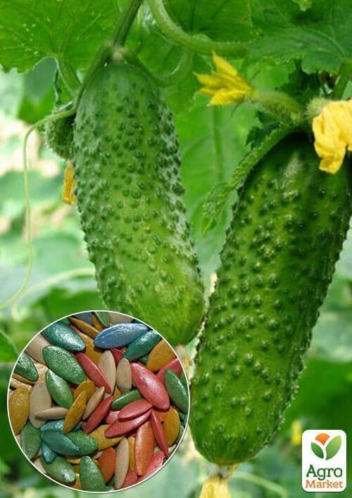 На вагу Огірок Суміш F1 ТМ Весна ціна за 2г
На вагу Огірок Суміш F1 ТМ Весна ціна за 2г