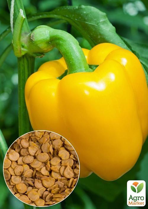 На развес Перец Золотое чудо ТМ Весна цена за 1г
На развес Перец Золотое чудо ТМ Весна цена за 1г