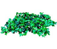 Почвопокровные растения