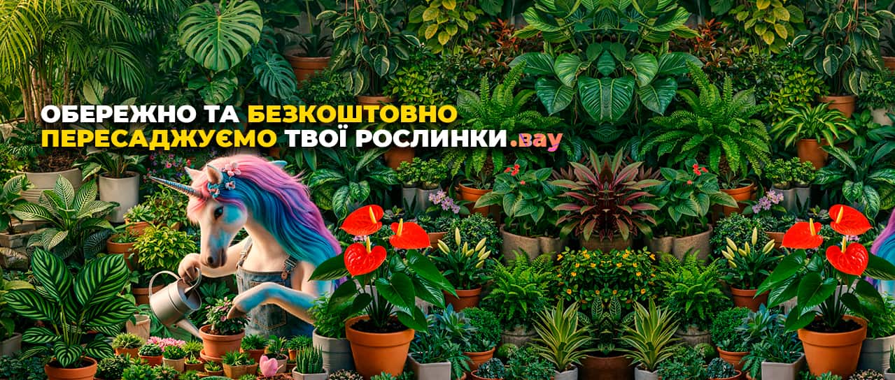 Обережна та безкоштовна пересадка твоїх рослин!