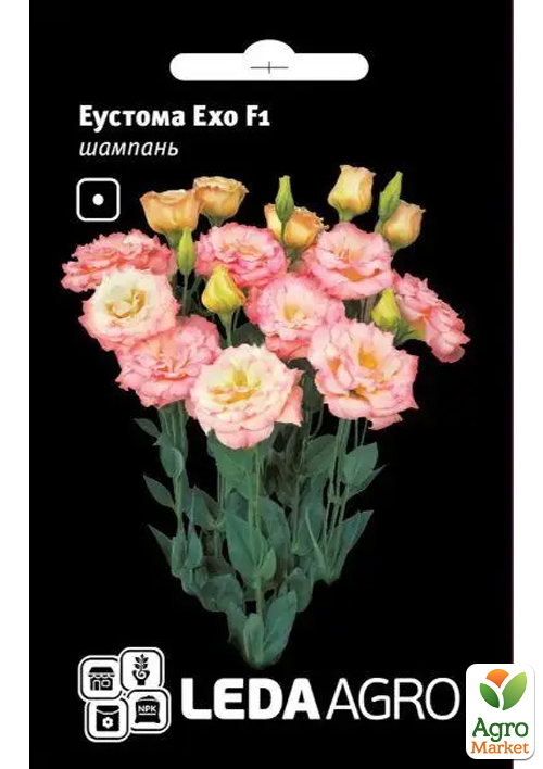 Еустома Ехо F1, шампань ТМ Leda Agro 5шт
Еустома Ехо F1, шампань ТМ Leda Agro 5шт
