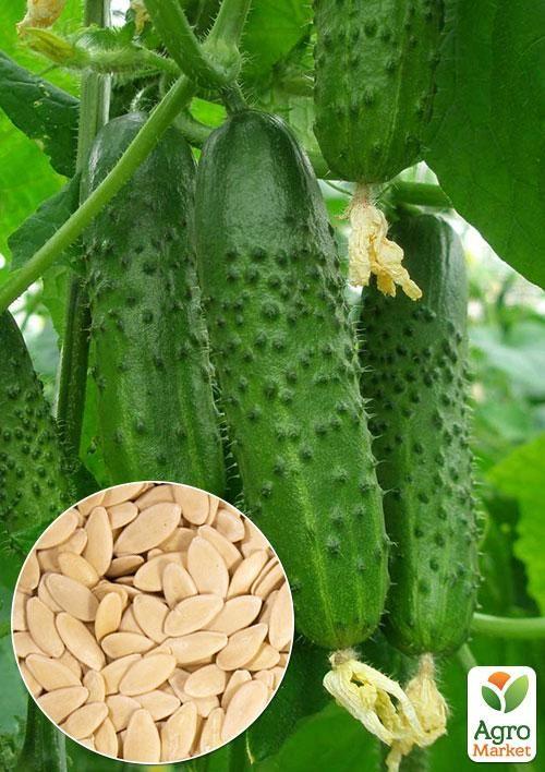 На развес Огурец Джерело ТМ Весна цена за 2г
На развес Огурец Джерело ТМ Весна цена за 2г