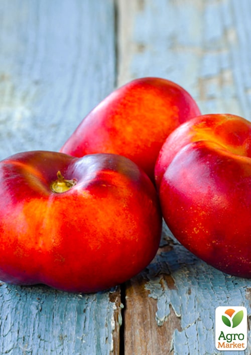 Інжирний нектарин пірамідальний Оріола (Oriola)
Інжирний нектарин пірамідальний Оріола (Oriola)