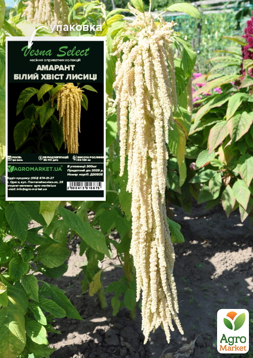 Амарант Белый хвост лисицы ТМ Vesna Select 300шт
Амарант Белый хвост лисицы ТМ Vesna Select 300шт