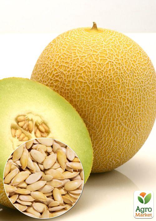 На вагу Диня Рання-133 ТМ Весна ціна за 6г
На вагу Диня Рання-133 ТМ Весна ціна за 6г