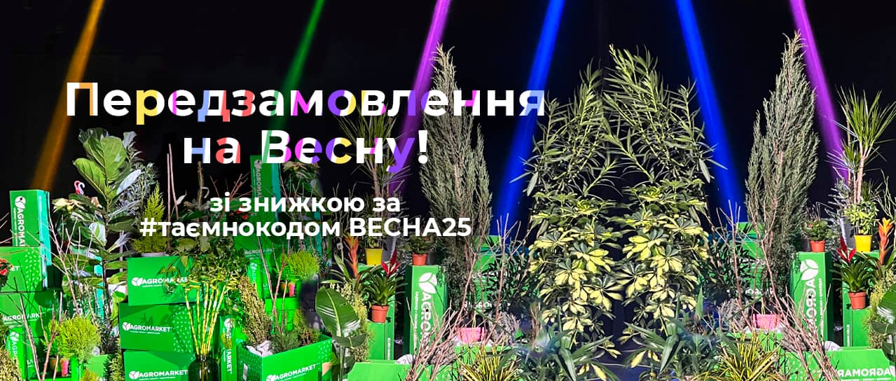 Передзамовлення на Весну 2025!