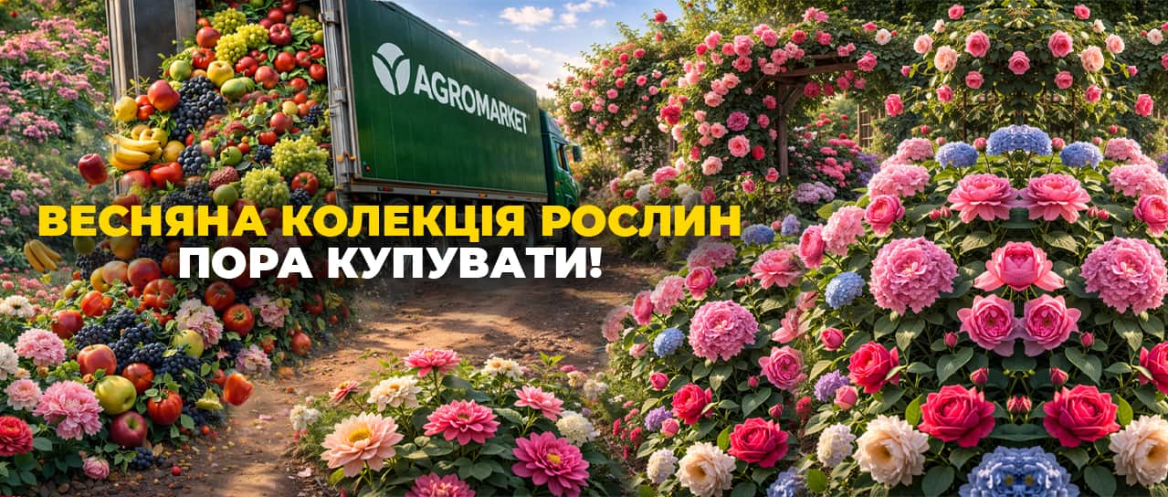 Назустріч врожаю!