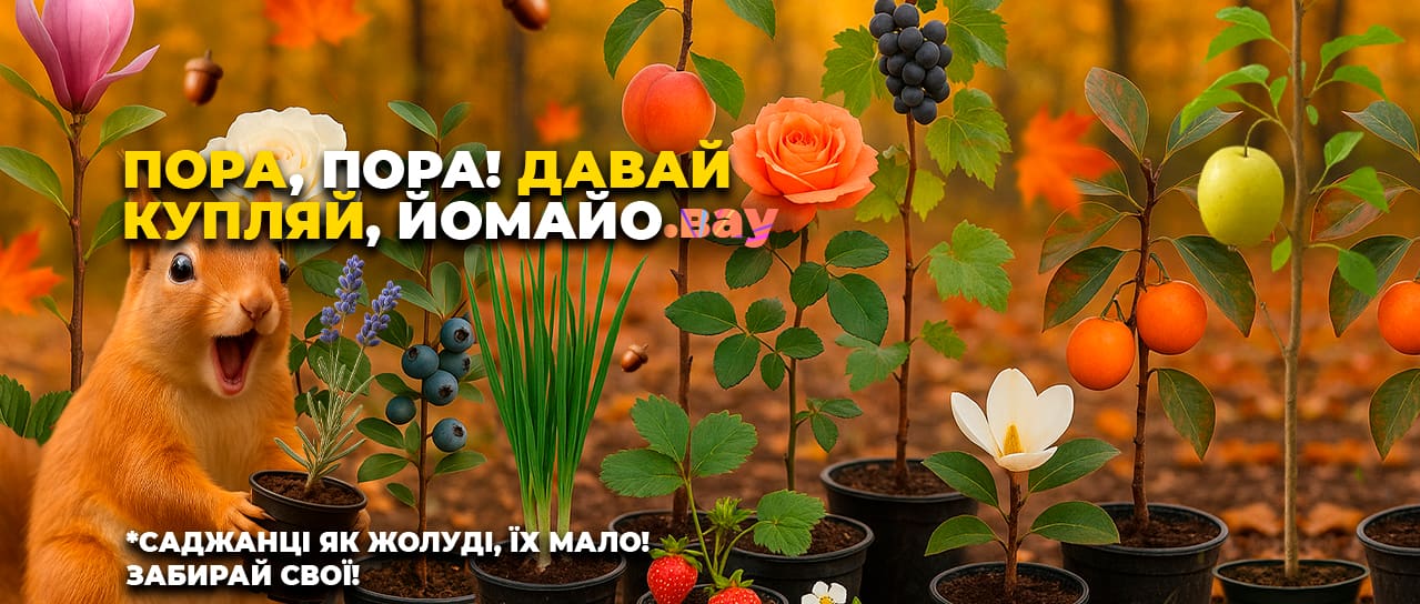 Пора, пора! Давай купляй, йомайо!