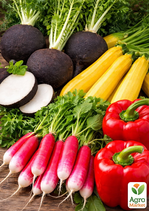 Комплект овощей в зиппере Дачный огород 15 уп
Комплект овощей в зиппере Дачный огород 15 уп