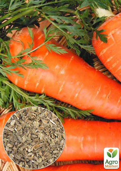 На вагу Морква Шантане Роял ТМ Весна ціна за 10г
На вагу Морква Шантане Роял ТМ Весна ціна за 10г