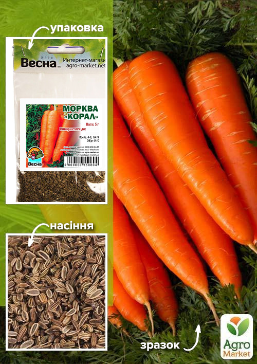 Морковь Коралл (Зипер) ТМ Весна 5г
Морковь Коралл (Зипер) ТМ Весна 5г