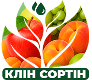 Сочный урожай