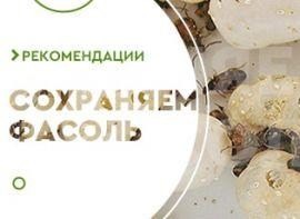 Як позбутися від жучків в квасолі - корисні статті про садівництво від Agro-Market