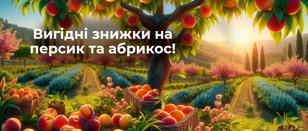 Вигідні знижки на персик та абрикос!