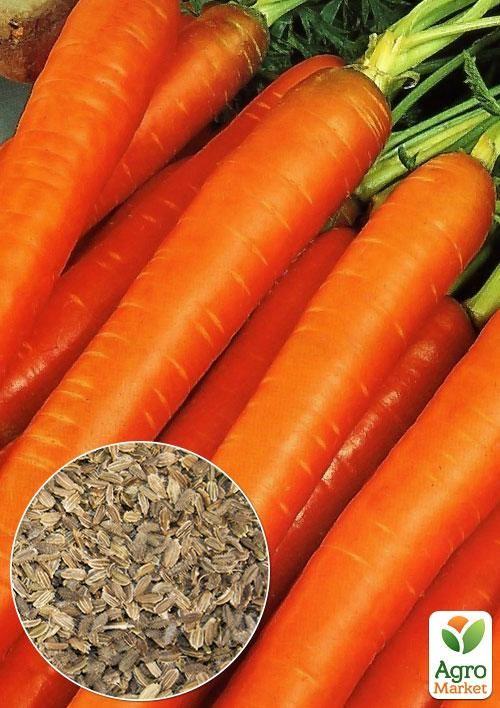 На вагу Морква Нантська ТМ Весна ціна за 10г
На вагу Морква Нантська ТМ Весна ціна за 10г