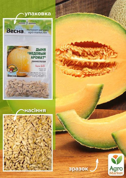 Дыня Медовый аромат (Зипер) ТМ Весна 3г
Дыня Медовый аромат (Зипер) ТМ Весна 3г
