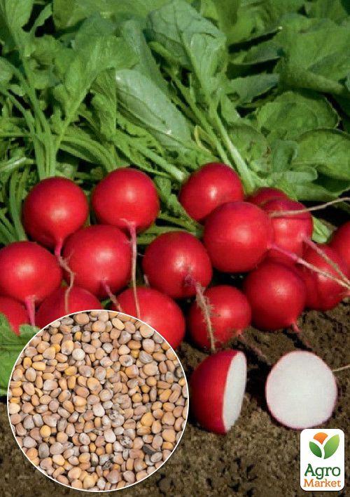 На вагу Редис Кармен ТМ Весна ціна за 10г
На вагу Редис Кармен ТМ Весна ціна за 10г