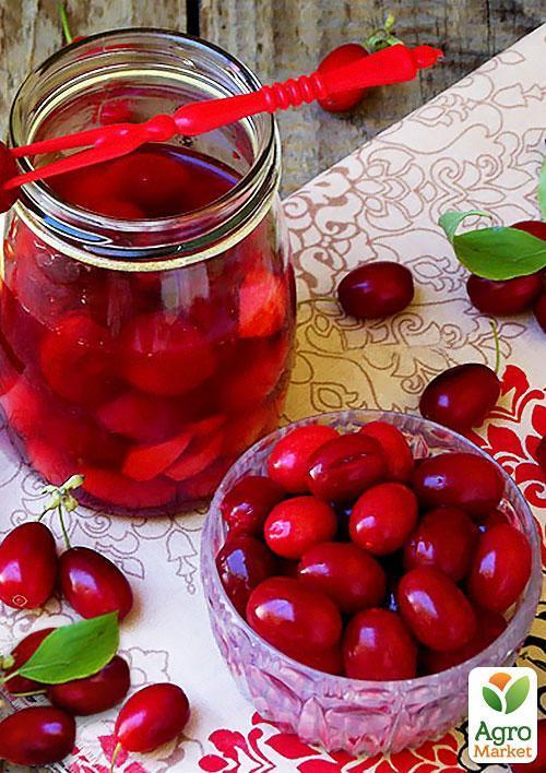 Кизил Світлячок (середній термін дозрівання, один з найбільш великоплідних сортів)
Кизил Світлячок (середній термін дозрівання, один з найбільш великоплідних сортів)