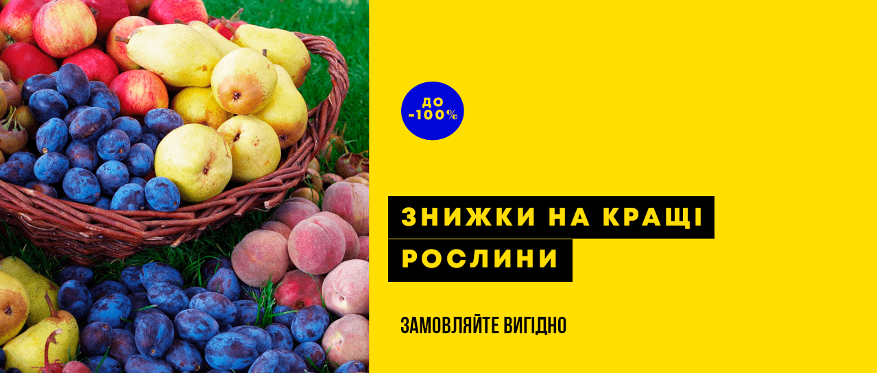 Знижки до -100% на кращі рослини