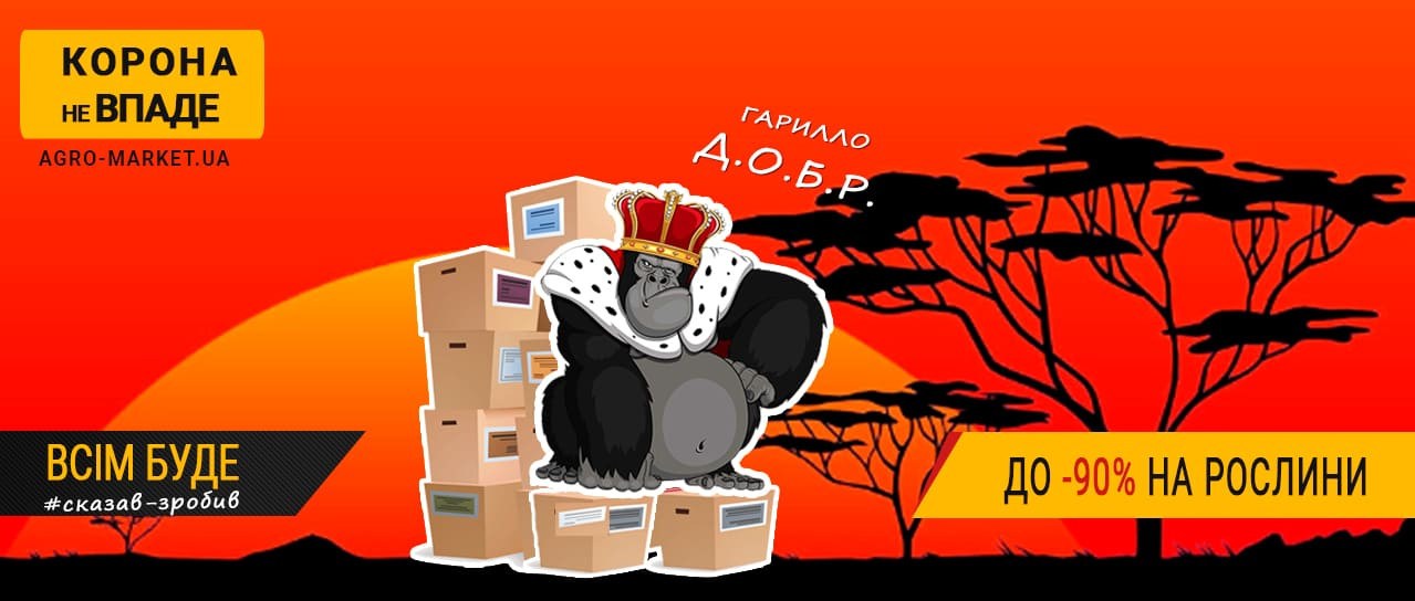 Гарилло Д.О.Б.Р до -90%!