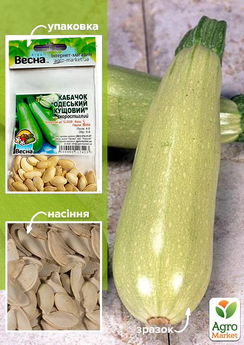 Кабачок Одесский кустовой (Зипер) ТМ Весна 5г
Кабачок Одесский кустовой (Зипер) ТМ Весна 5г