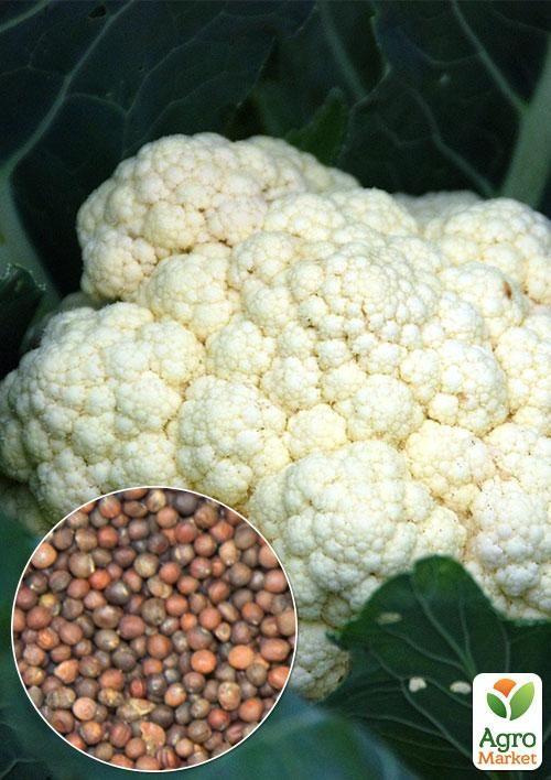 На развес Капуста цветная Снежный шар ТМ Весна цена за 1,5г
На развес Капуста цветная Снежный шар ТМ Весна цена за 1,5г