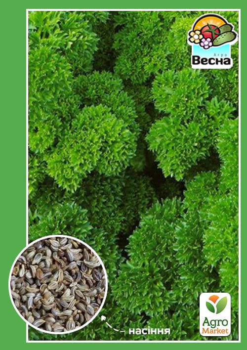 Петрушка кучерявая раннеспелый Парамоунт ТМ Весна 1.5г
Петрушка кучерявая раннеспелый Парамоунт ТМ Весна 1.5г