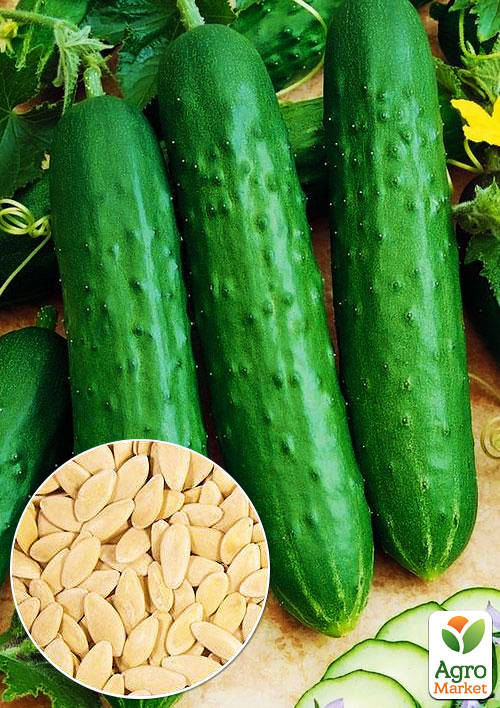 На развес Огурец Маркет море ТМ Весна цена за 2г
На развес Огурец Маркет море ТМ Весна цена за 2г