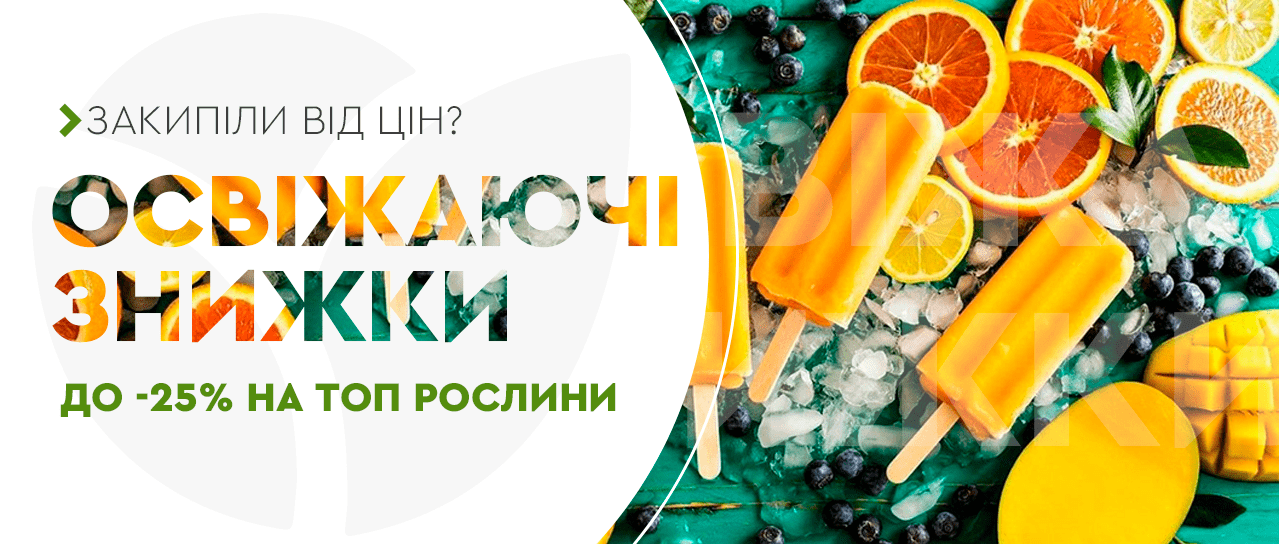 Освіжаючі знижки!