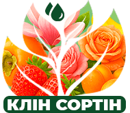 Хіт-парад рослин Хіт-парад рослин