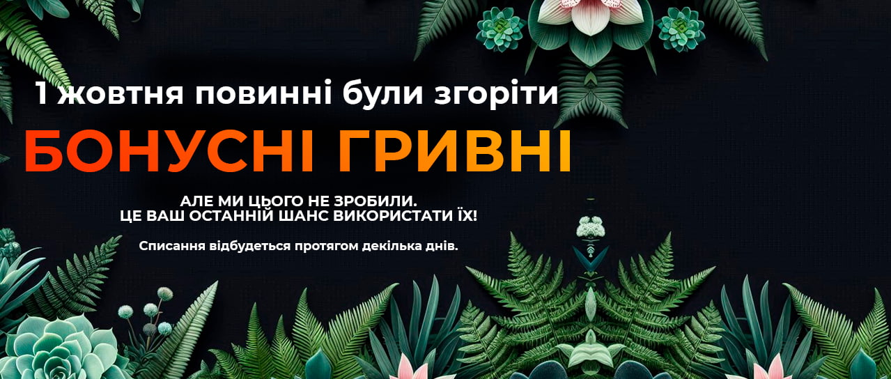 Це Ваш останній шанс витратити бонусні гривні!