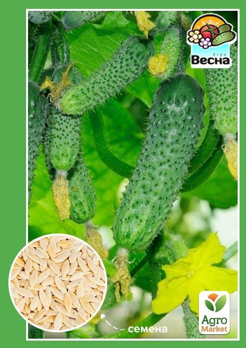 Огурец Мурашка F1 ТМ Весна 0.25г 
Огурец Мурашка F1 ТМ Весна 0.25г