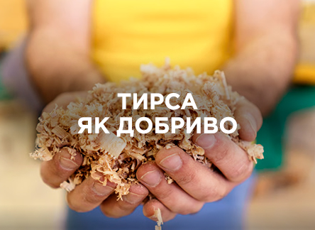 Як перетворити тирсу на добриво? Як перетворити тирсу на добриво?