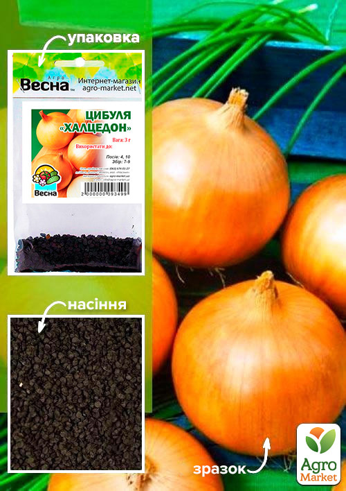 Цибуля Халцедон (Зипер) ТМ Весна 3г
Цибуля Халцедон (Зипер) ТМ Весна 3г