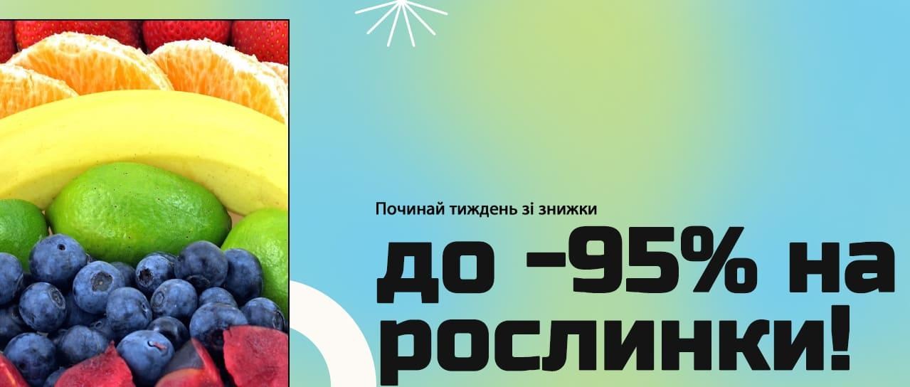 Починай тиждень зі знижки до -95% на рослинки!