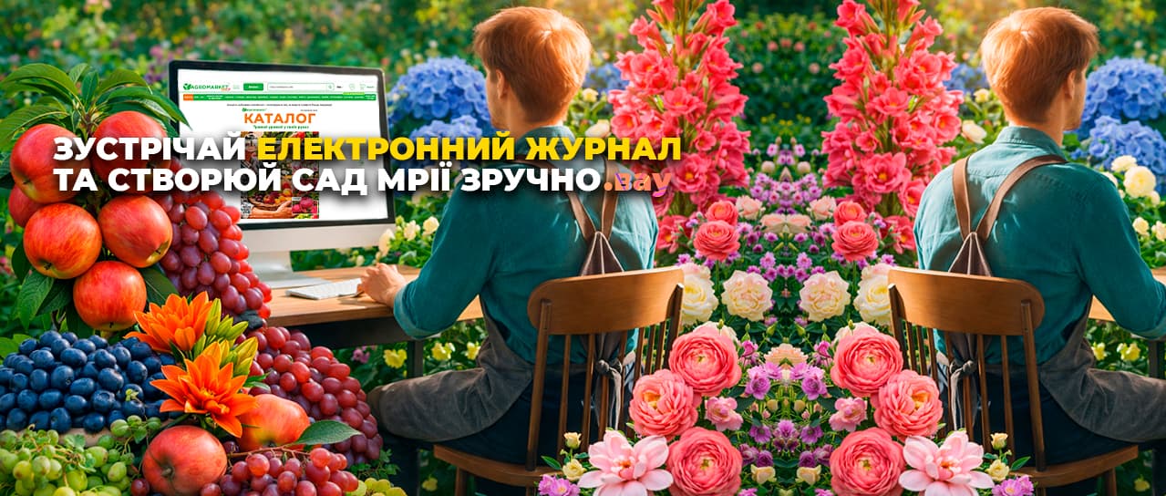 Зустрічайте електронний журнал!