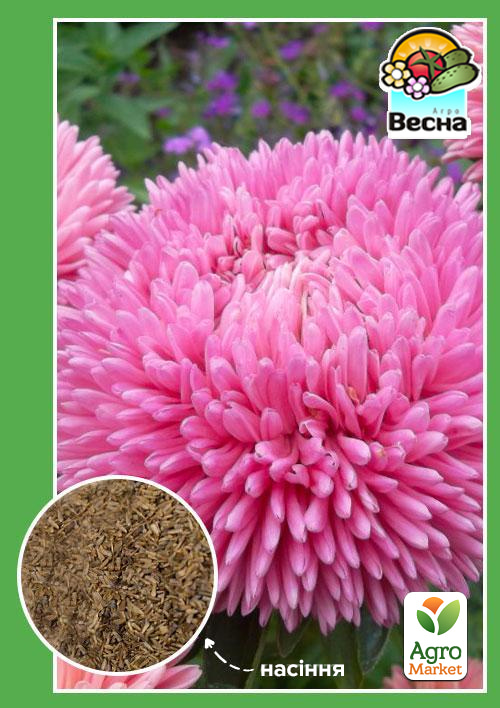 Астра Нина ТМ Весна 0.2г
Астра Нина ТМ Весна 0.2г