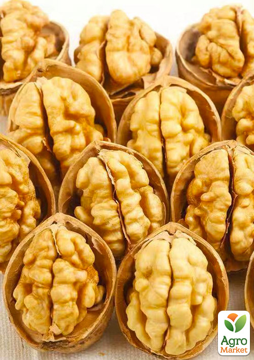 Грецкий орех Десертный (средний срок созревания)
Грецкий орех Десертный (средний срок созревания)