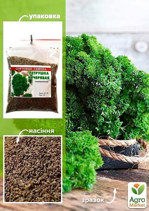 Петрушка Кучерява ТМ Весна 100г
Петрушка Кучерява ТМ Весна 100г