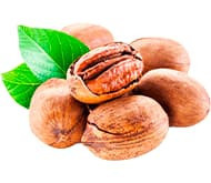 Орех Пекан