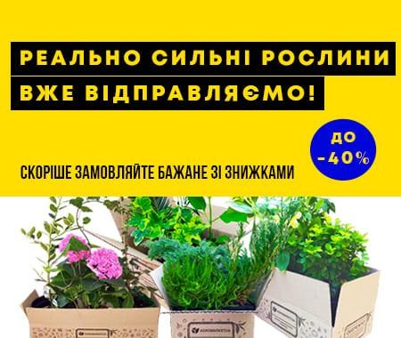 Реально сильні саджанці