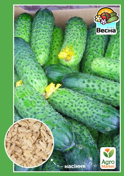 Огірок Самозапилювальний F1 ТМ Весна 0.25г
Огірок Самозапилювальний F1 ТМ Весна 0.25г