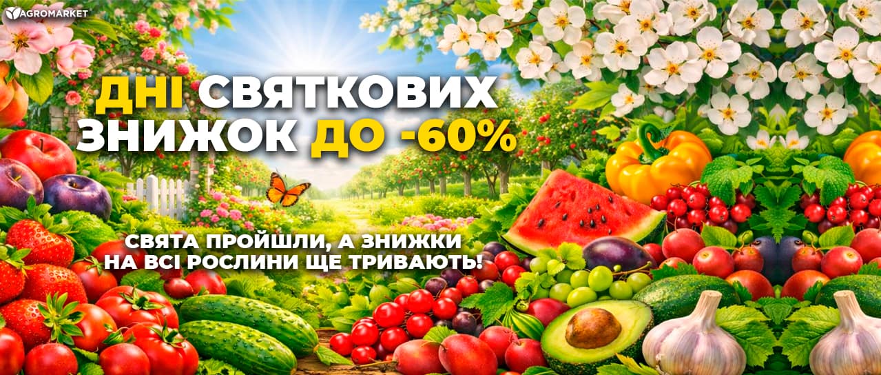 Дні Святкових Знижок до -60%