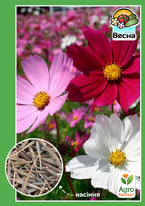 Космея Космос ТМ Весна 0.3г
Космея Космос ТМ Весна 0.3г