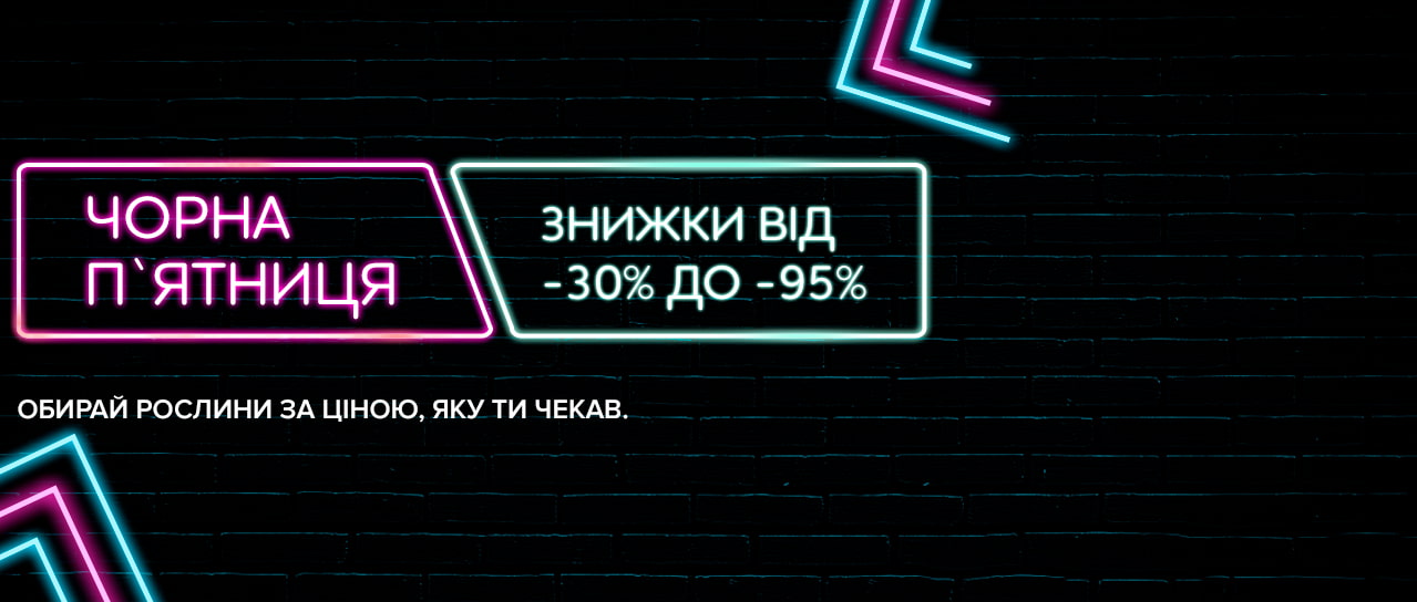 Чорна П’ятниця