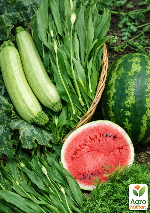 Комплект овощей в зипере Хитовый 15уп
Комплект овощей в зипере Хитовый 15уп