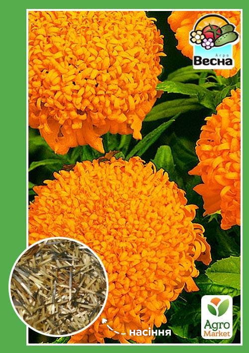 Чорнобривці Гаваї ТМ Весна 0.3г
Чорнобривці Гаваї ТМ Весна 0.3г