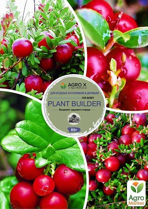 Клюква, комплект из 4-х сортов Жемчужины сада (Pearls of the Garden) 4шт саженцев + лучшее удобрение
Клюква, комплект из 4-х сортов Жемчужины сада (Pearls of the Garden) 4шт саженцев + лучшее удобрение