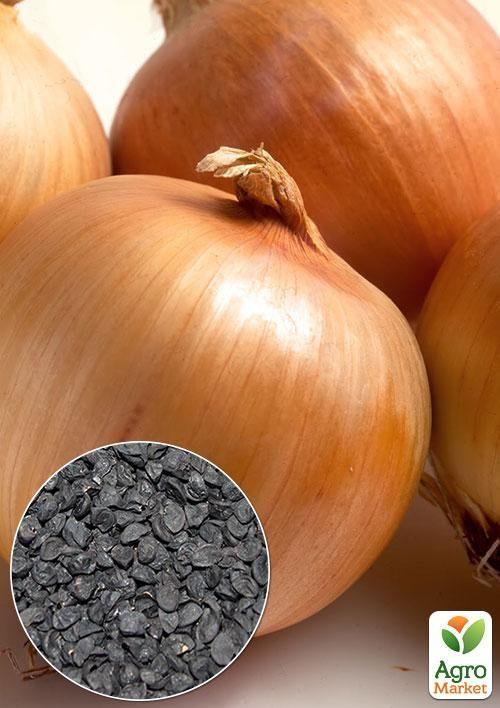 На вагу Цибуля Фермер ТМ Весна ціна за 5г
На вагу Цибуля Фермер ТМ Весна ціна за 5г